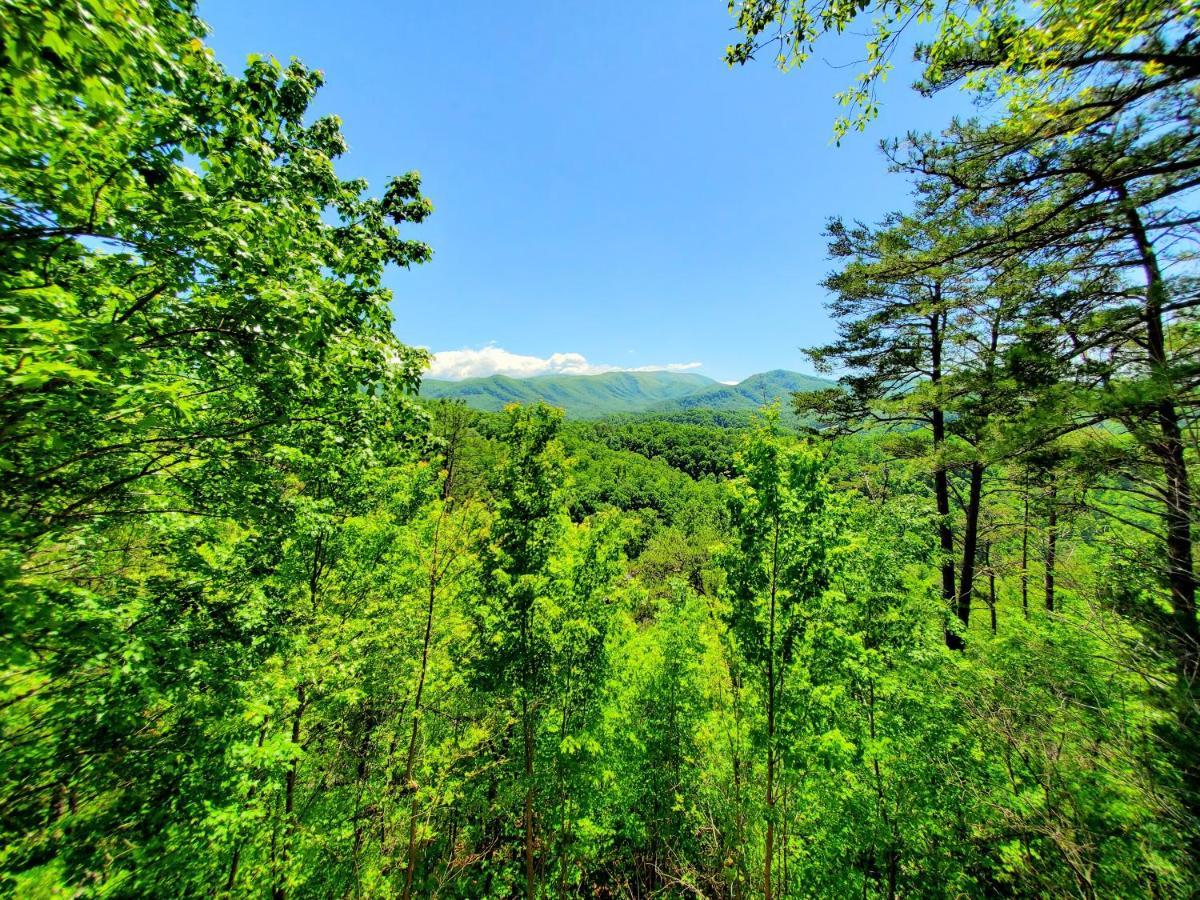 Mountain Ridge Villa Pigeon Forge Luaran gambar